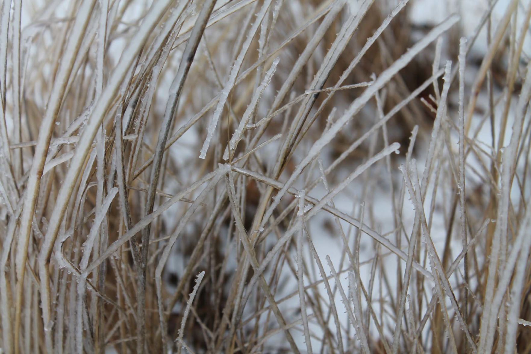 Ice storm hits Beaver Dam